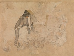 Elefante y jinete, ca. 1640 de Hashim.