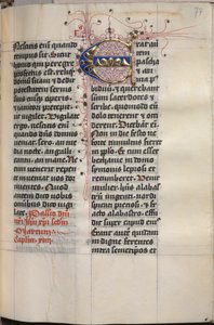 Libro de los Evangelios con retratos de evangelistas: Inicial decorada, c. 1480 de Hausbuch Master