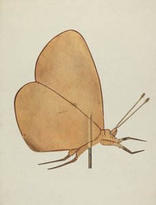 Veleta de mariposa de Hazel Hyde