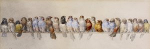 Un percha de pájaros, c.1880 de Hector Giacomelli