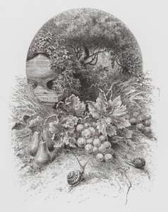 El insecto: Caracoles (grabado)
