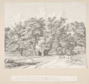 Entrada al bosque de Charlottenlund desde el lado del lago