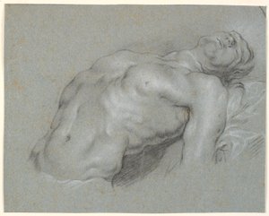 Torso de un modelo masculino fuertemente reclinado