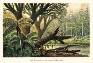 Archegosaurus decheni junto a un río en una selva primordial.