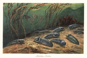 Trilobites extintos en el fondo del océano.