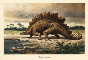 Stegosaurus armatus del Jurásico Tardío. de Heinrich Harder