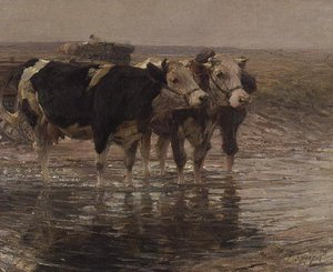 Ganado bebiendo agua