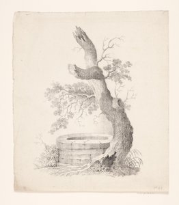 Un viejo árbol junto a un pozo