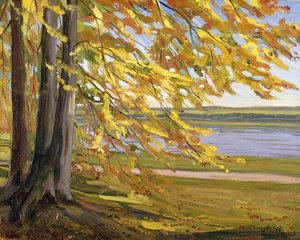 Lago Starnberg de Heinrich Wilhelm Truebner