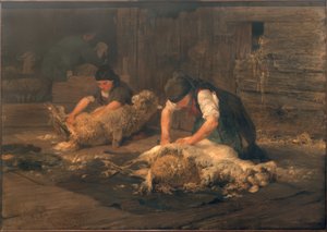 La esquila de ovejas