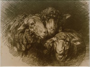 Ovejas de Heinrich von Zügel