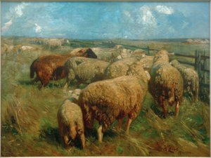 Rebaño de ovejas en pleno verano de Heinrich von Zügel