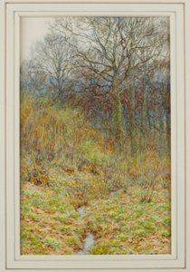 Nuestro bosque de prímulas, 1913 de Helen Allingham