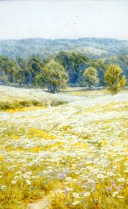 Margaritas de Ojo de Buey, cerca de Westerham, Kent de Helen Allingham