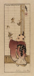 Mariposas