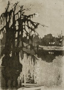 Cipreses de Helen Hyde