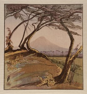 Monte Orizaba de Helen Hyde