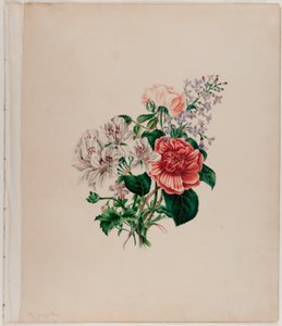 Ramo de San León, c.1842 (acuarela sobre papel) de Helen Lockie and family Jones