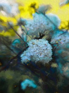 Mayo en Flor de Helen White