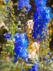Delphiniums azules, 2019 de Helen White
