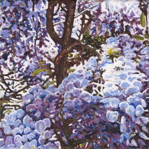 Glicinas azules, 2012 de Helen White