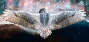 Atrévete a volar, 2019 de Helen White