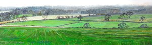 Desde la cima de Farley Hill, 2008 de Helen White