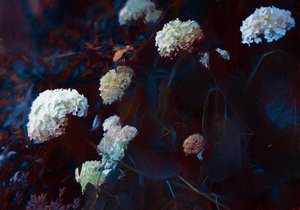 A la luz de la luna pálida, 2019 de Helen White