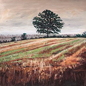 Campo de la tarde, 2009 de Helen White