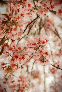 Orientalis de Helen White