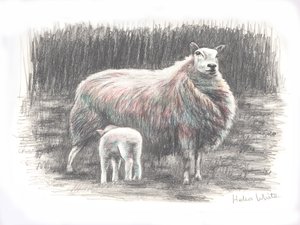 Orgulloso, 2016 de Helen White