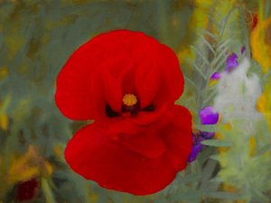 Escarlata de Helen White