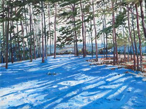Cresta nevada, 2009 de Helen White