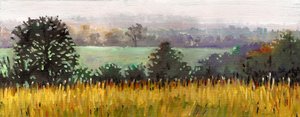 Hacia Grazeley, 2012 (óleo sobre lienzo) de Helen White