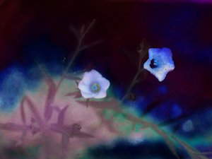 Transitoriedad, 2019 de Helen White
