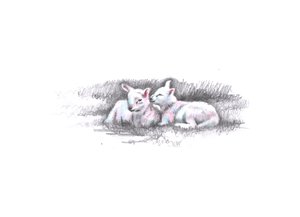 Gemelos, 2016 de Helen White