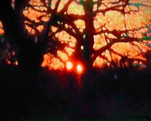 Luz de invierno, 2019 de Helen White