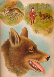 El lobo, c. 1900 de Helena J. Maguire