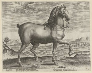 Semental de Alemania Eqvvs Germanvs (título sobre el objeto) Razas de caballos de las Caballerizas Reales de Don Juan de Austria (título de la serie) Equile Ioannis Austriaci Caroli (título de la serie)
