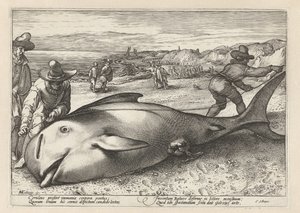 Dos hombres miden una ballena varada de Hendrick Goltzius (workshop of)