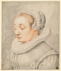  de Hendrick Goltzius