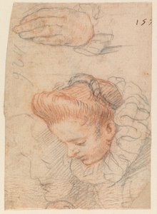 Hoja de bocetos con la cabeza y la mano de una mujer de Hendrick Goltzius