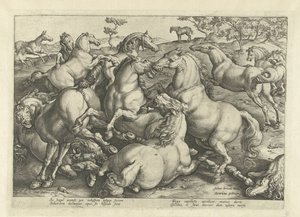 Doce caballos de pelea Razas de caballos de las Caballerizas Reales de Don Juan de Austria (título de la serie) de Hendrick Goltzius