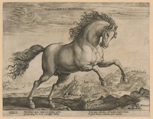 caballo salvaje Eqvvs liber et incompǒsitvs (título sobre el objeto) Razas de caballos de las Caballerizas Reales de Don Juan de Austria (título de la serie) de Hendrick Goltzius