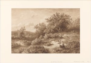 Paisaje con arroyo y arbustos de Hendrik Dirk Kruseman van Elten