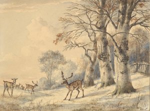 Ciervos bajo Árboles de Haya en Verano, 1853 de Hendrik Gerrit ten Cate
