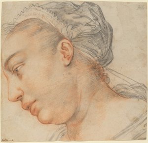 Cabeza de una joven de Hendrik Goltzius
