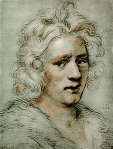 Estudio de cabeza de un joven de Hendrik Goltzius