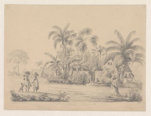 Vista de la calle a las afueras de Paramaribo de Hendrik Huygens