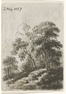 árboles en una colina de Hendrik Jan Hein